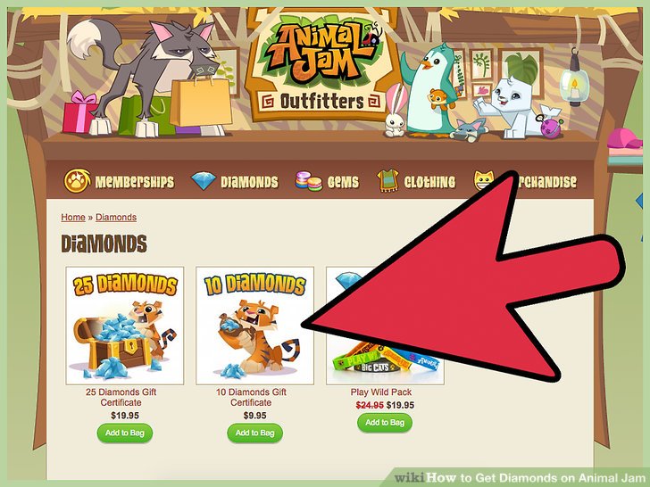Animal Jam Outfitters - burnmission
